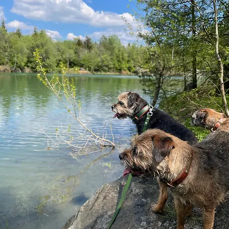 Lejlighed Frankenblick *