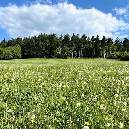 Frankenblick Lejlighed Frankenau