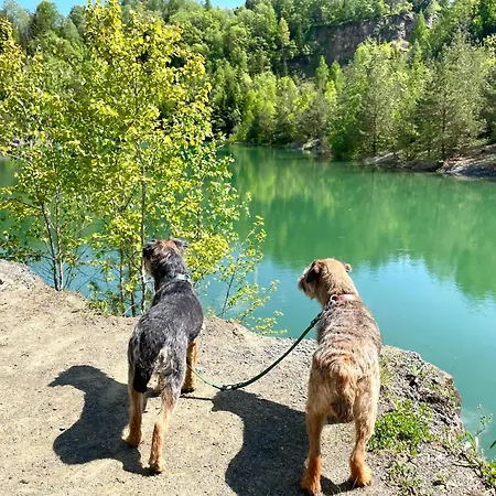 Lejlighed Frankenblick Frankenau