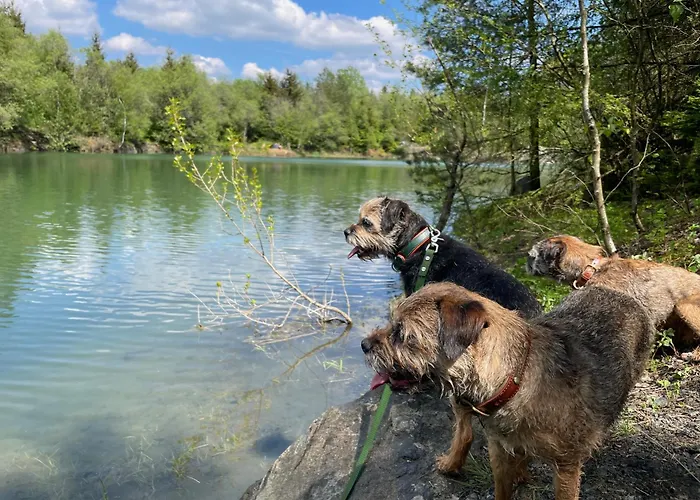 Apartment Frankenblick *