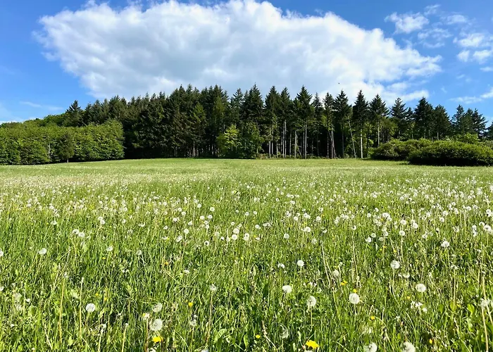 Frankenblick Apartment Frankenau