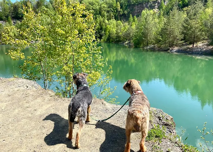 Apartment Frankenblick Frankenau